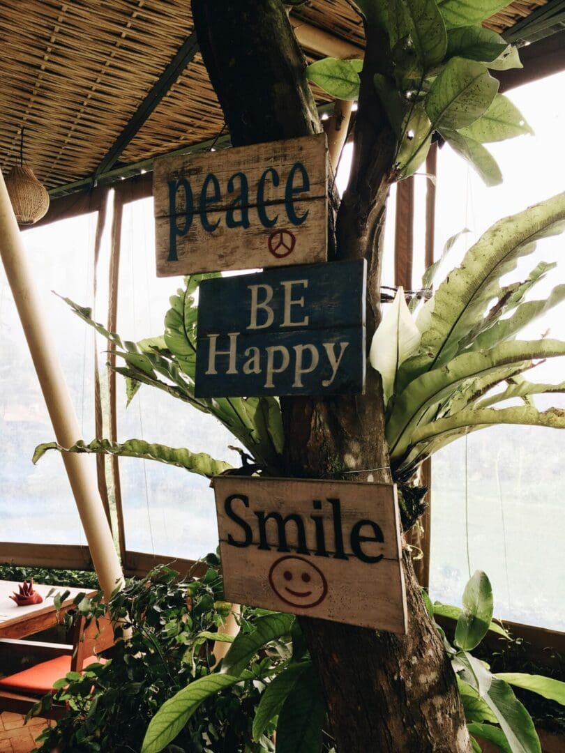 Wooden signs with positive messages hanging among plants on a balcony.